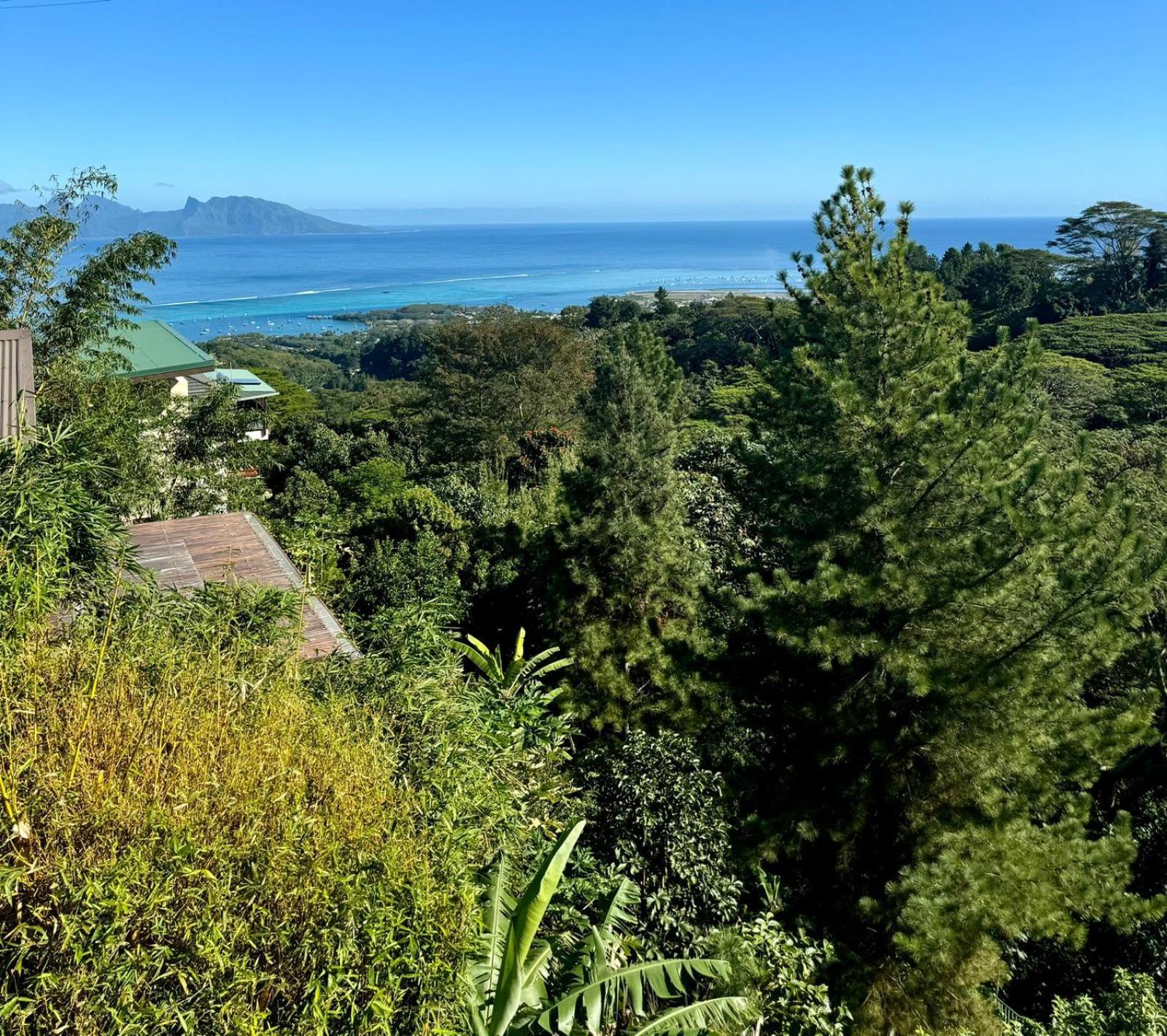 Studio Confort Avec Piscine Et Vue Tahiti Punaauia מראה חיצוני תמונה